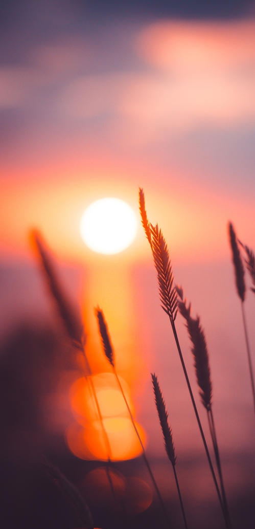 上的风, 带着烟草的味道随时光远去, 静静燃烧着的如烟的生命, 须臾间