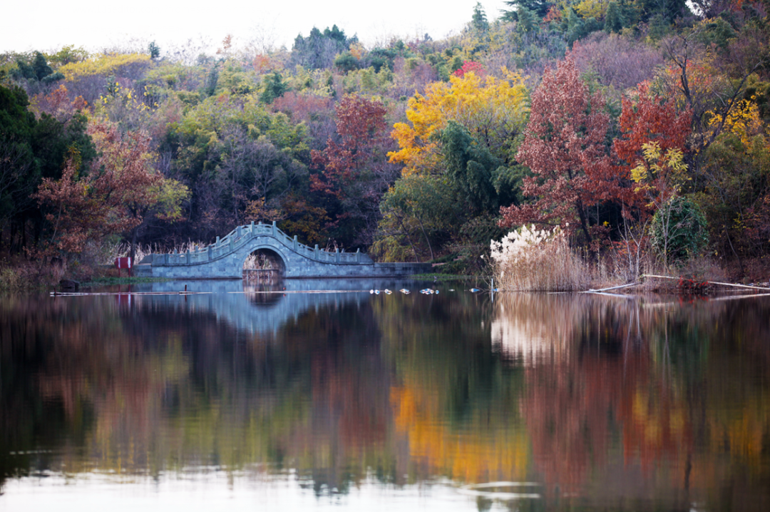 百名摄影家聚焦马陵山,用镜头诠释美!