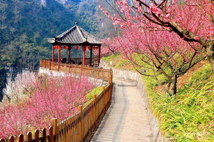 宜昌梅花园下牢溪