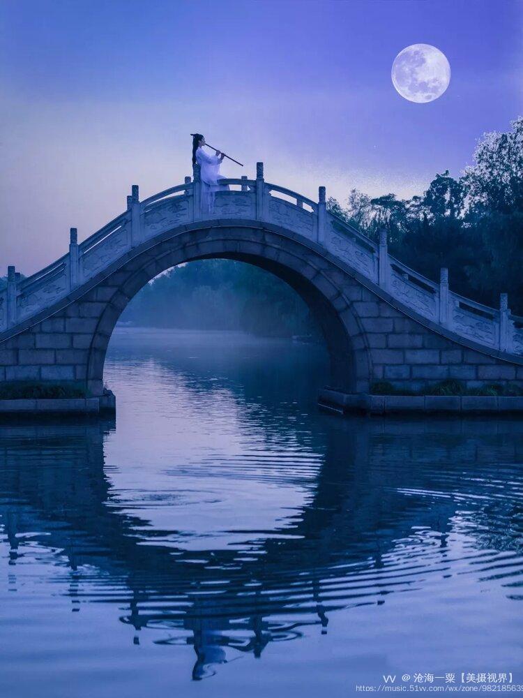 的相约鸟儿装睡树影摆动,为你遮羞你的身影在眼前飘逸那一时思念像线