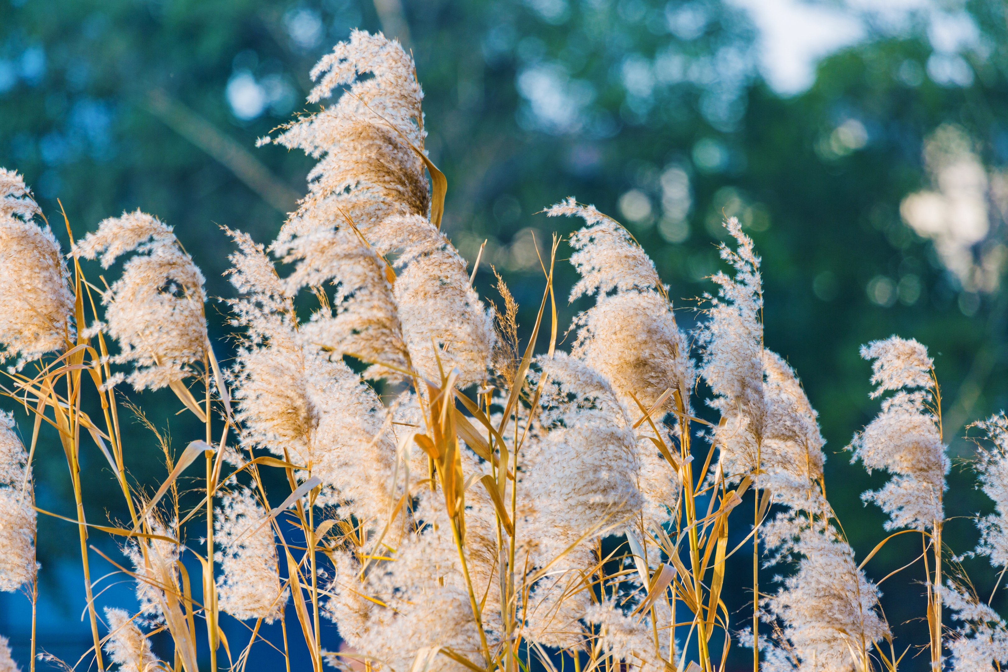 愿冬日暖阳 温暖你我【首发】