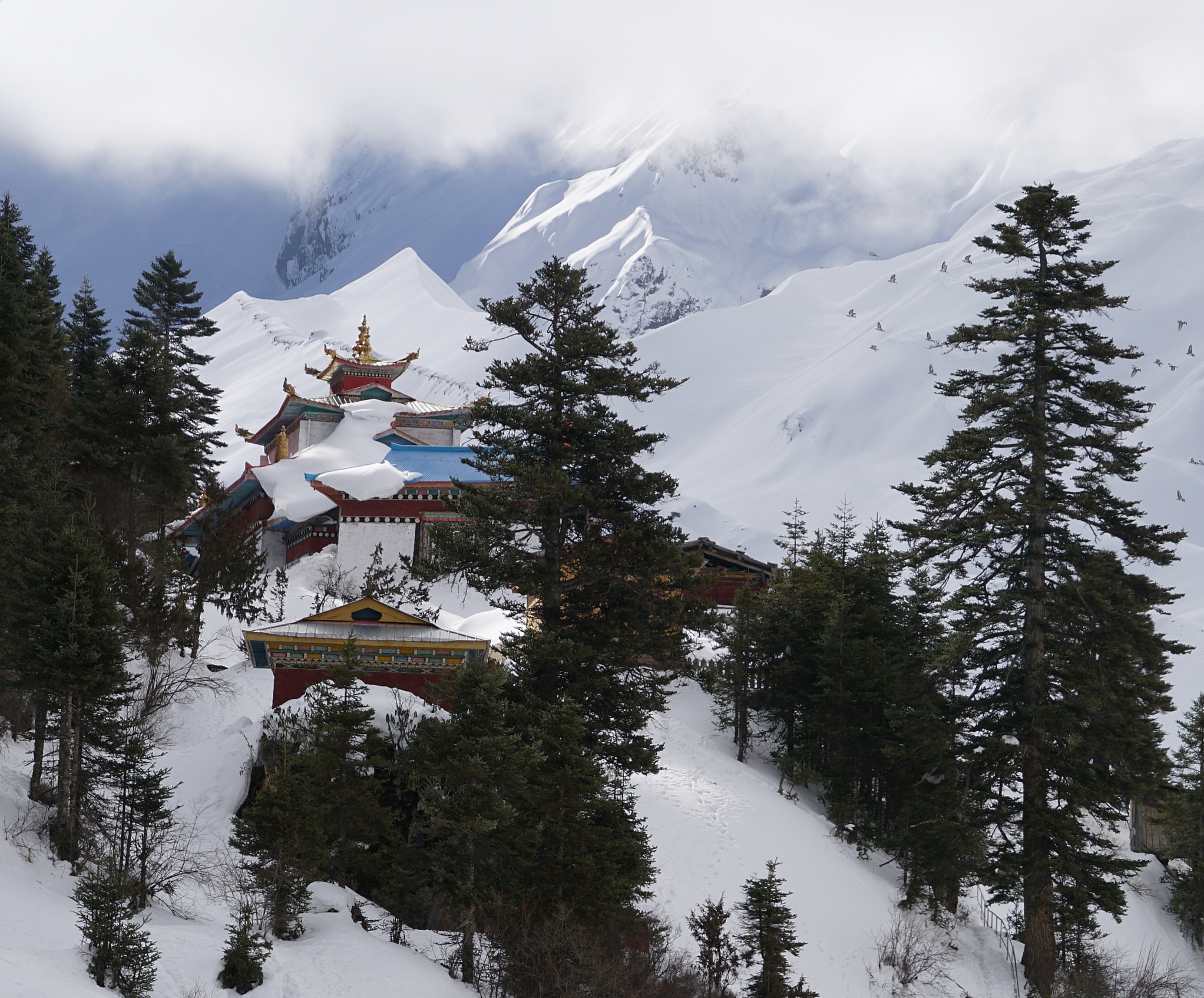 嘎隆拉雪山脚下