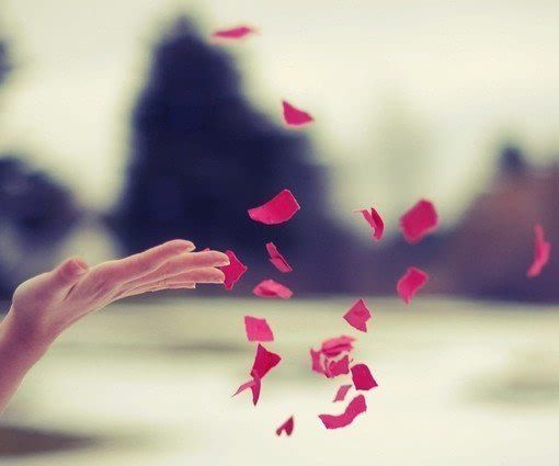 放手,也是一种爱【原创首发】