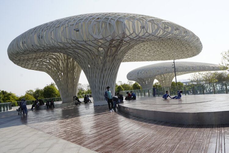 公园随拍系列极富设计感的深圳海滨文化公园