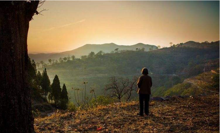 孤独守望的背影---是在默默流泪还是在回忆曾经美好的过往