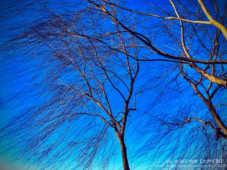 坚守在寒风中的激情原创