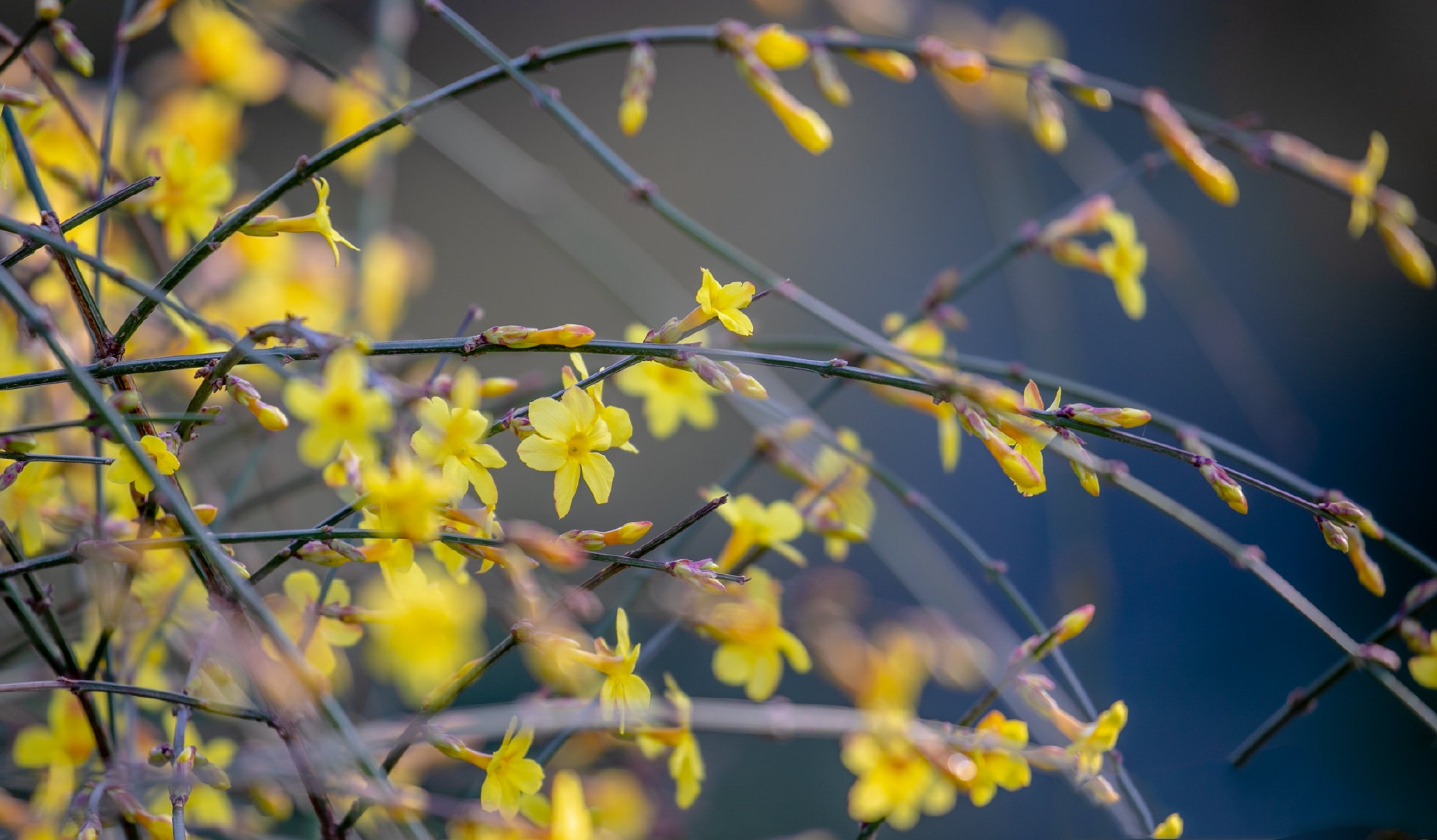 原创【首发】春日美景