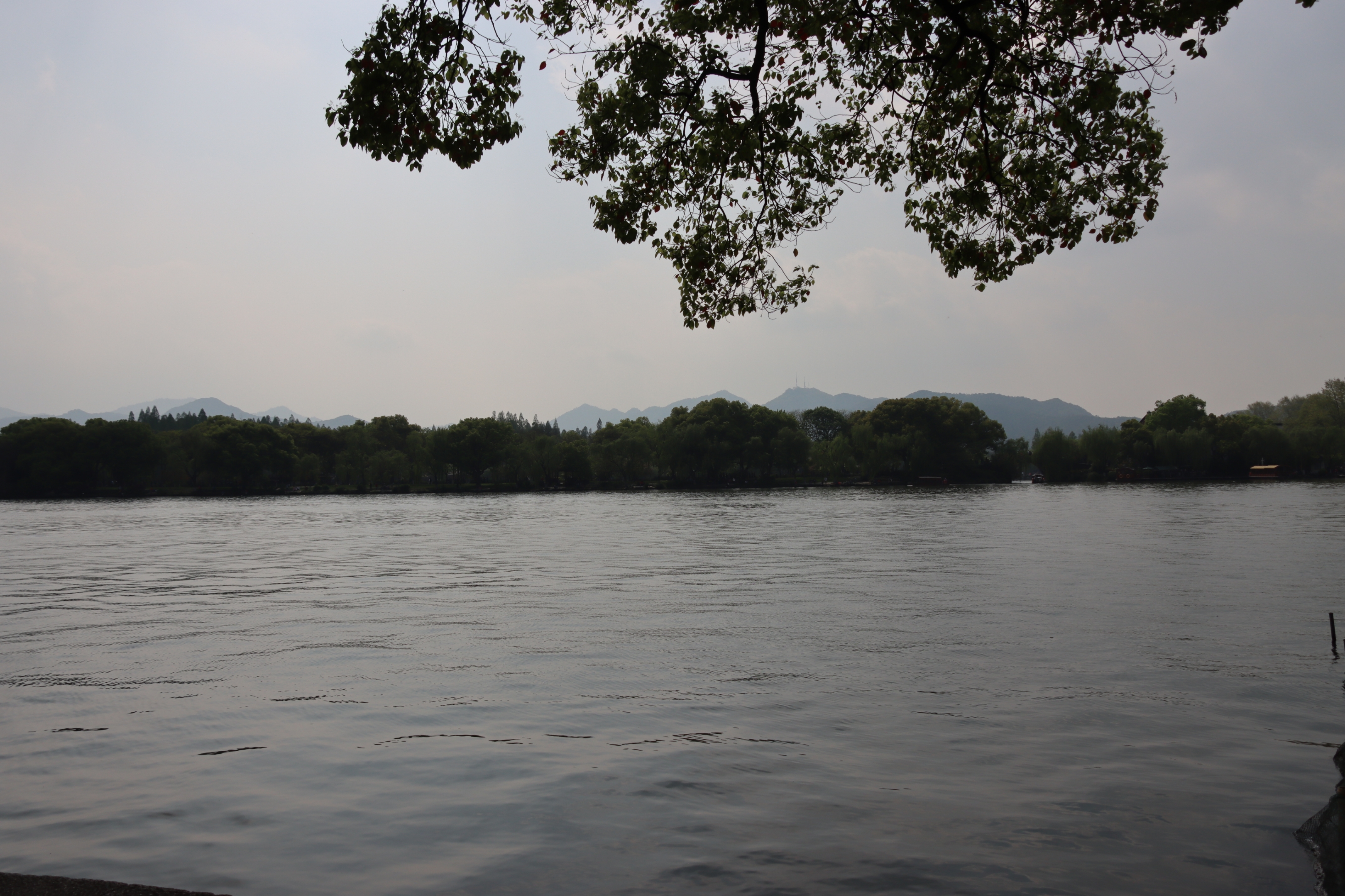 【首发】七律一湖烟雨一湖春