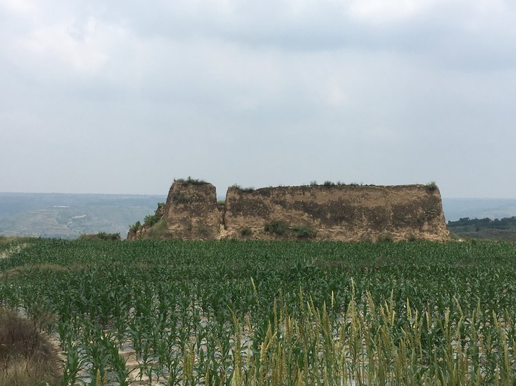 下庄村我的家乡叫北张