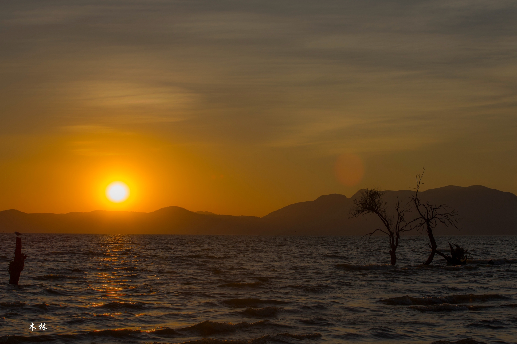 【首发】拥你入怀