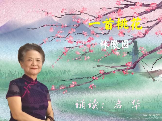 一首桃花作者林徽因诵读启华