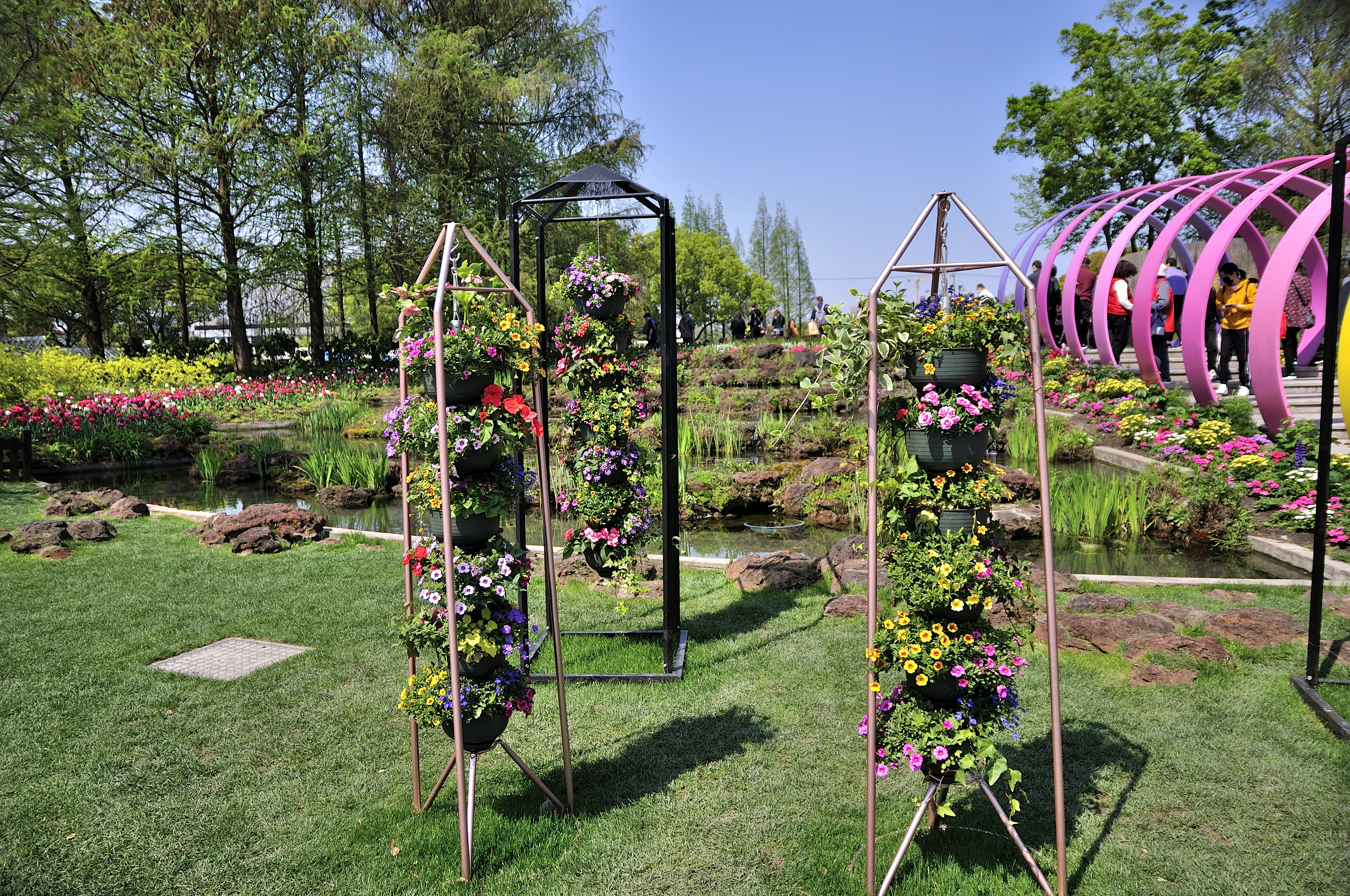 在今年的2021上海(国际)花展的新优植物展区中,由浙江虹越花卉股份