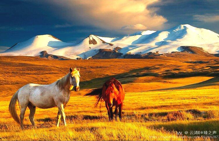 很多时候我就这样听着马头琴声,让自己沉醉在那辽阔的草原,呼啸的狂风