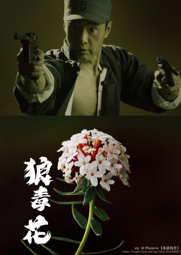 狼毒花的英雄们具有狼毒花精神首发
