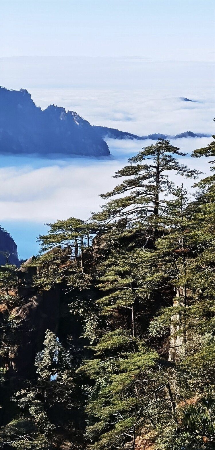 岫雲凝霧繞青松 登高黃閣觀橫縱