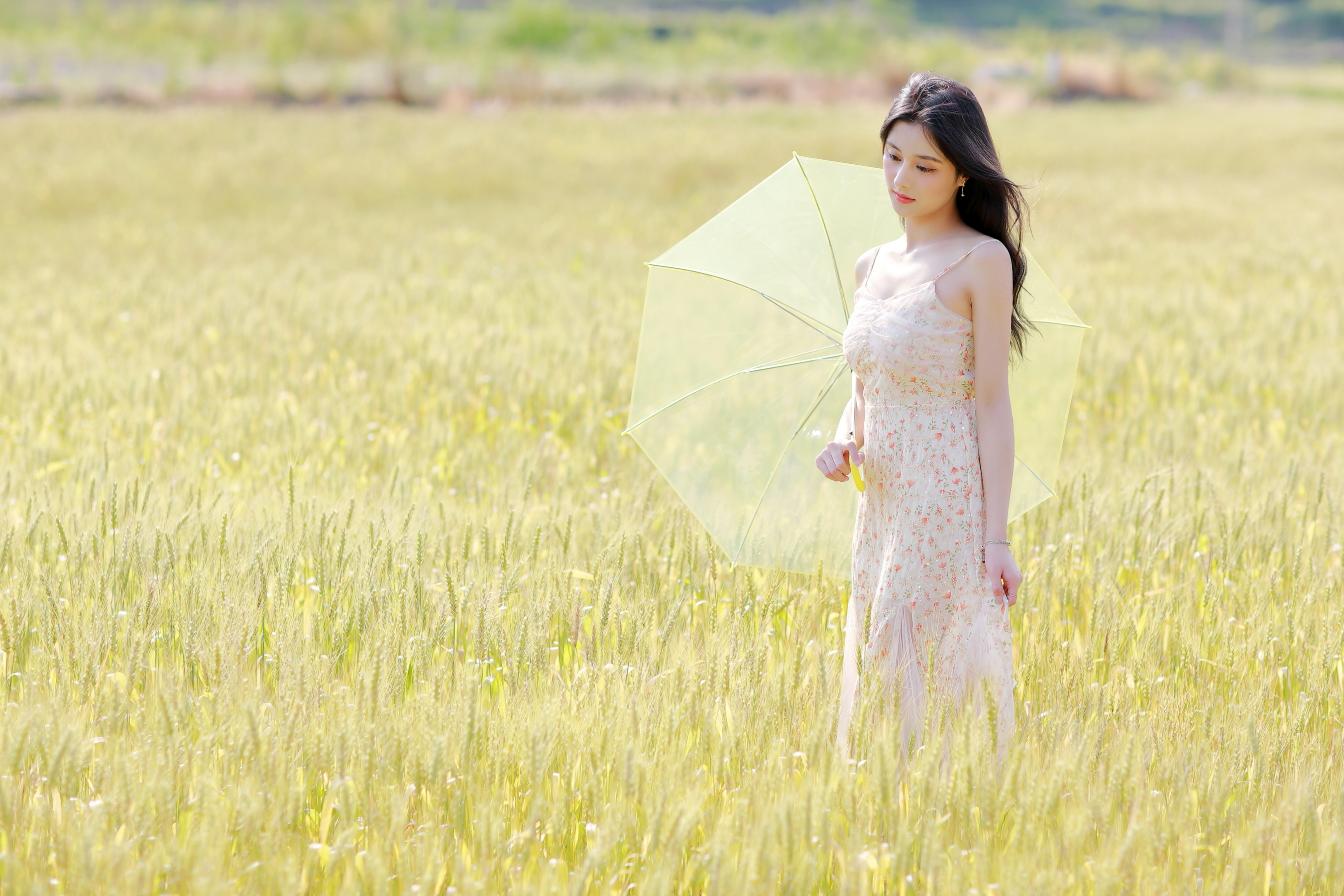 【首发】《麦田人像》