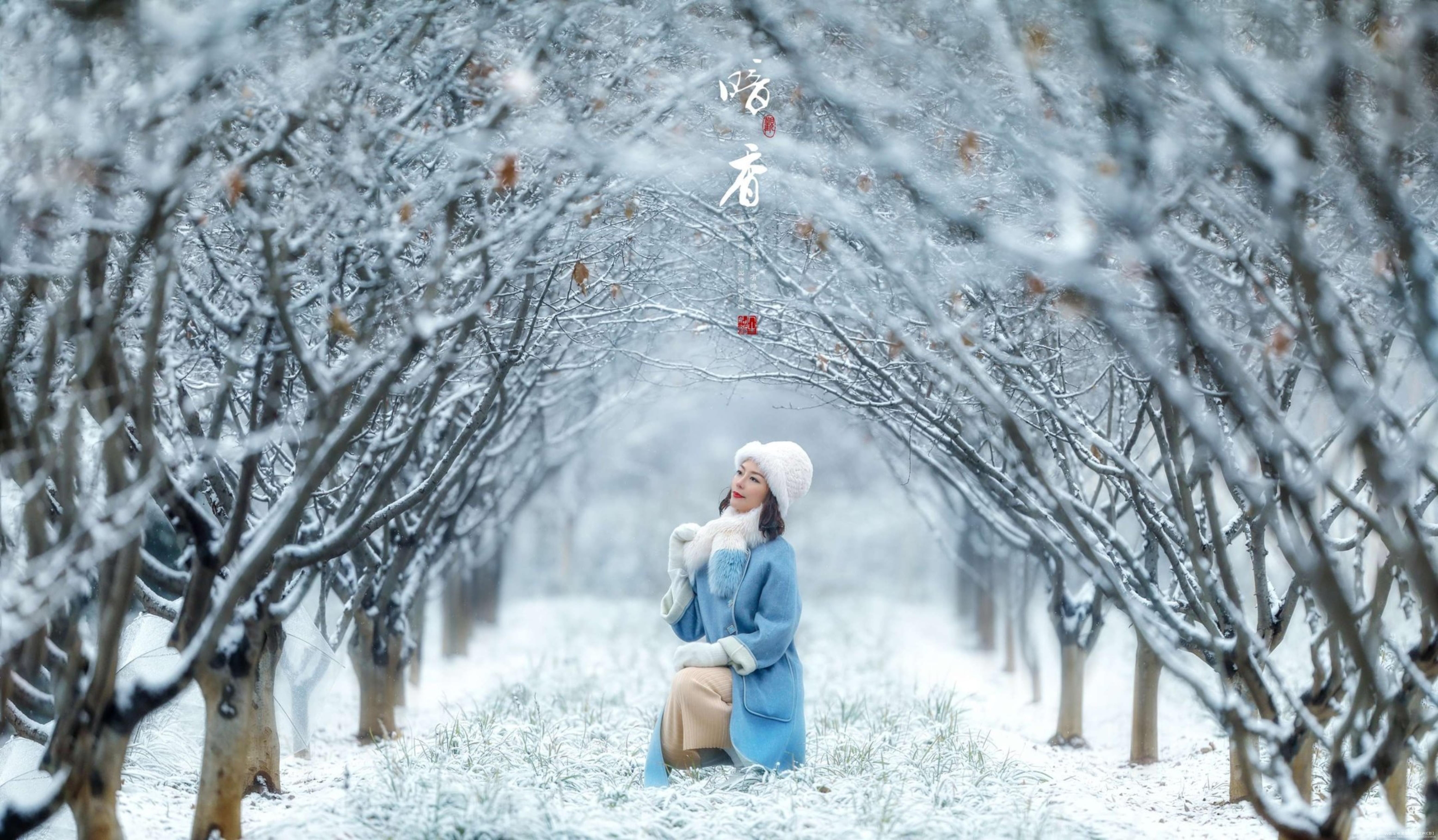 【首发】小雪怡情藏诗意.梅香一缕醉幽魂