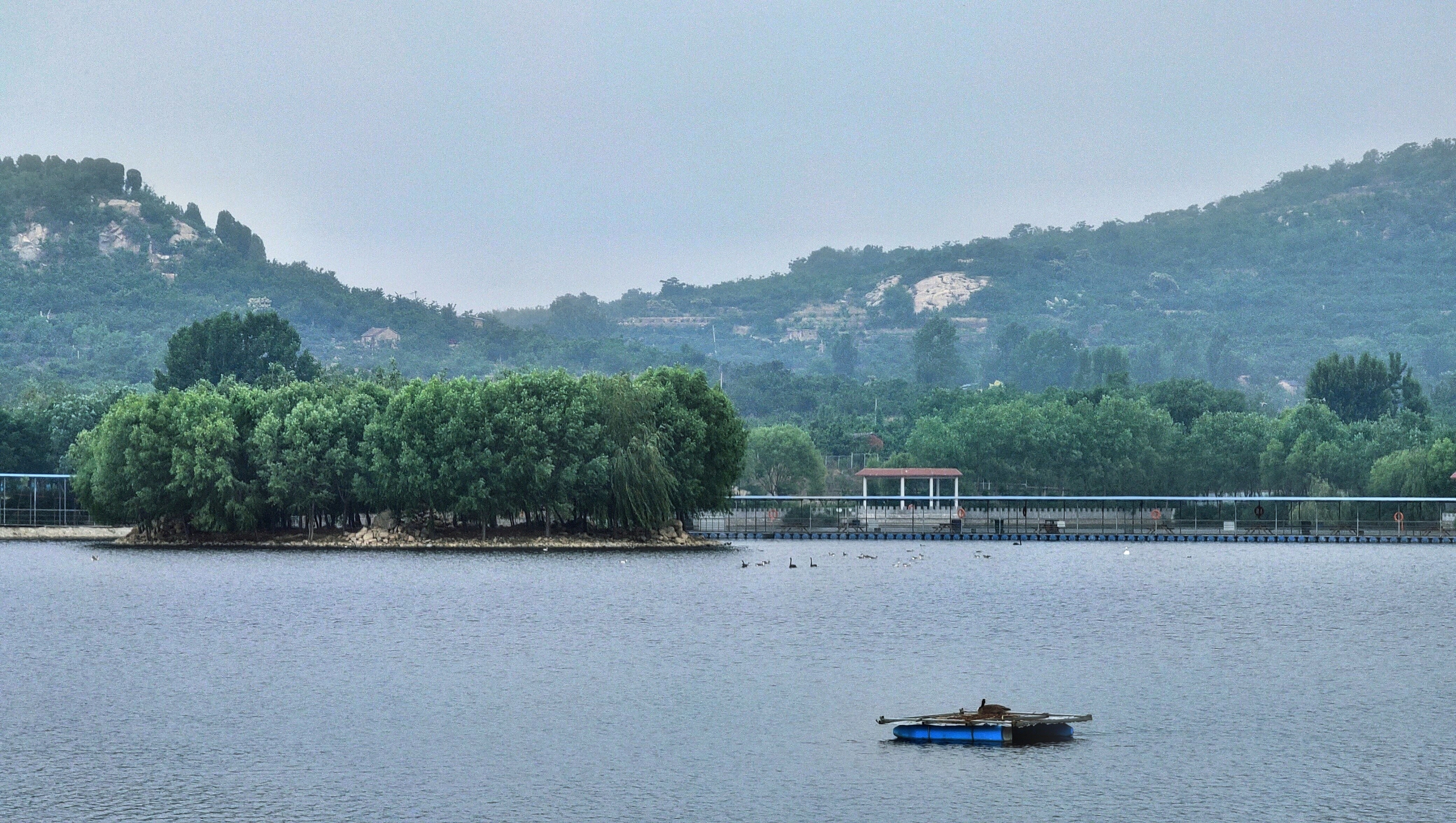 泰安天鹅湖公园图片