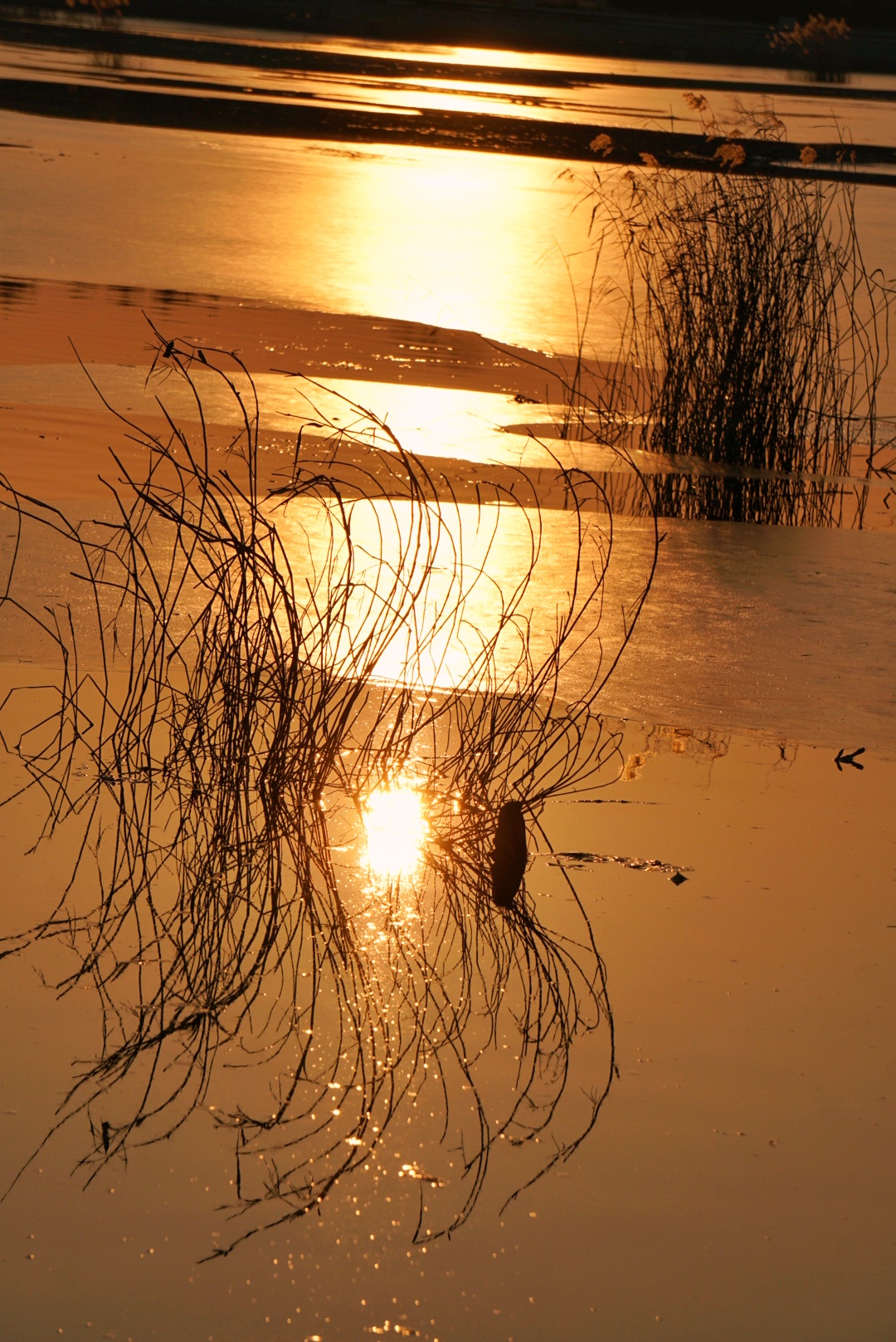 一道残阳铺水中,半江瑟瑟半江红 摄影 冰清