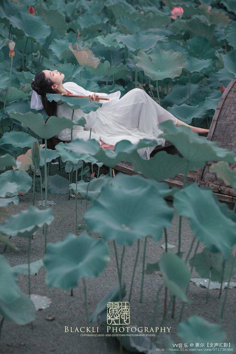 首发青莲旧梦葽尔文声汇影