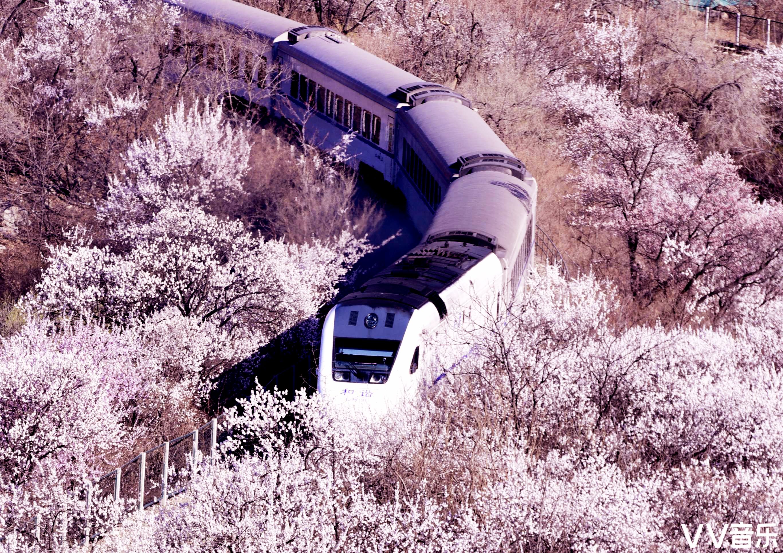 开往春天的列车