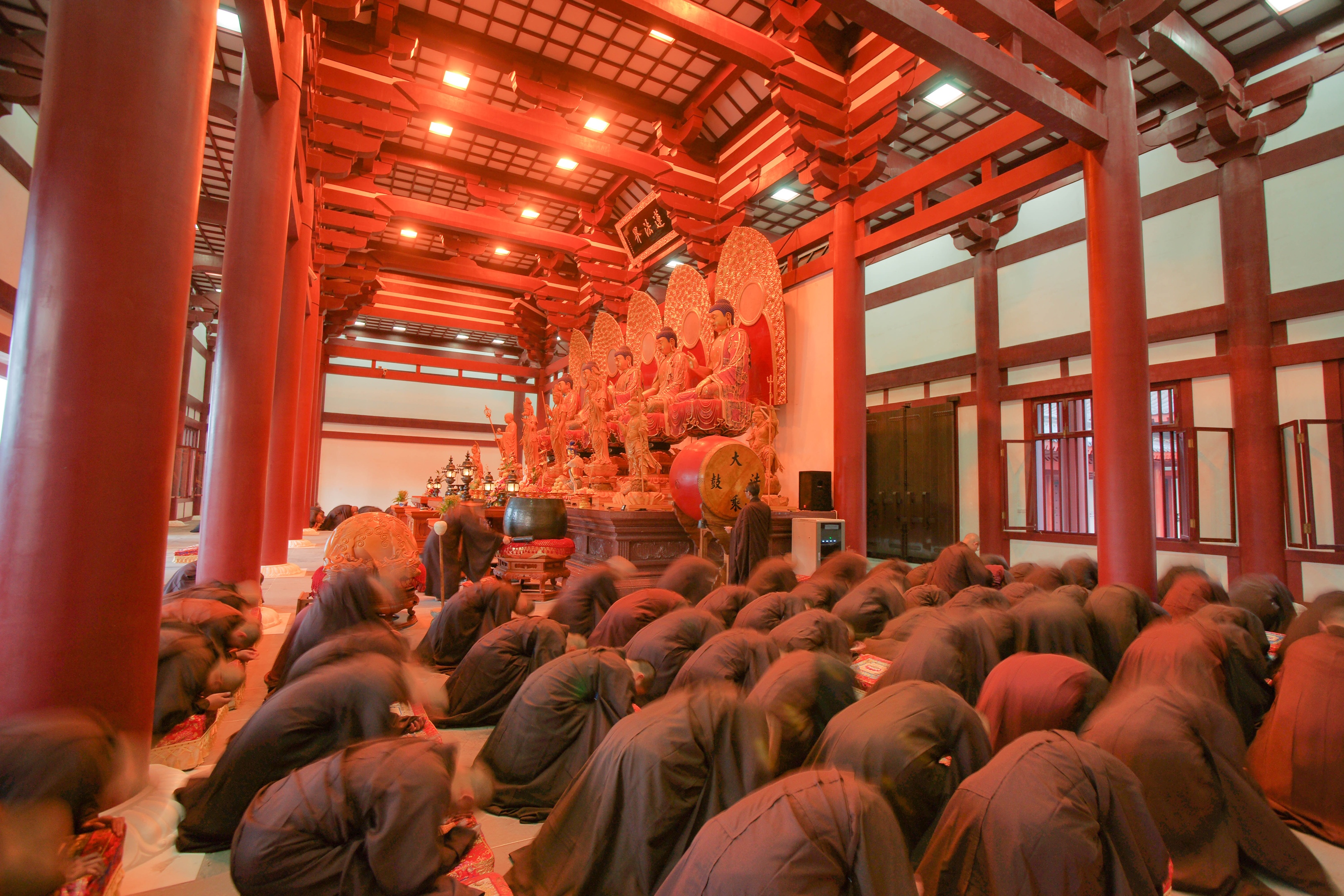首发 普陀山佛学院