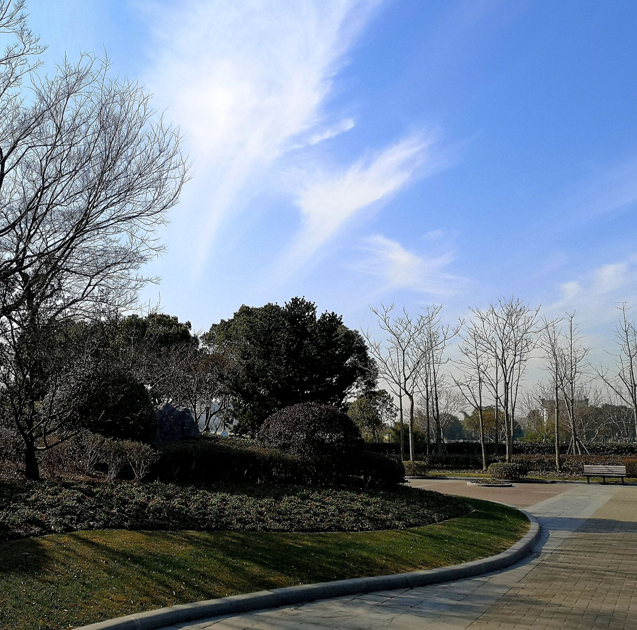 假日期间乘坐地铁8号线来到了位于闵行区浦江镇的陈行公园.