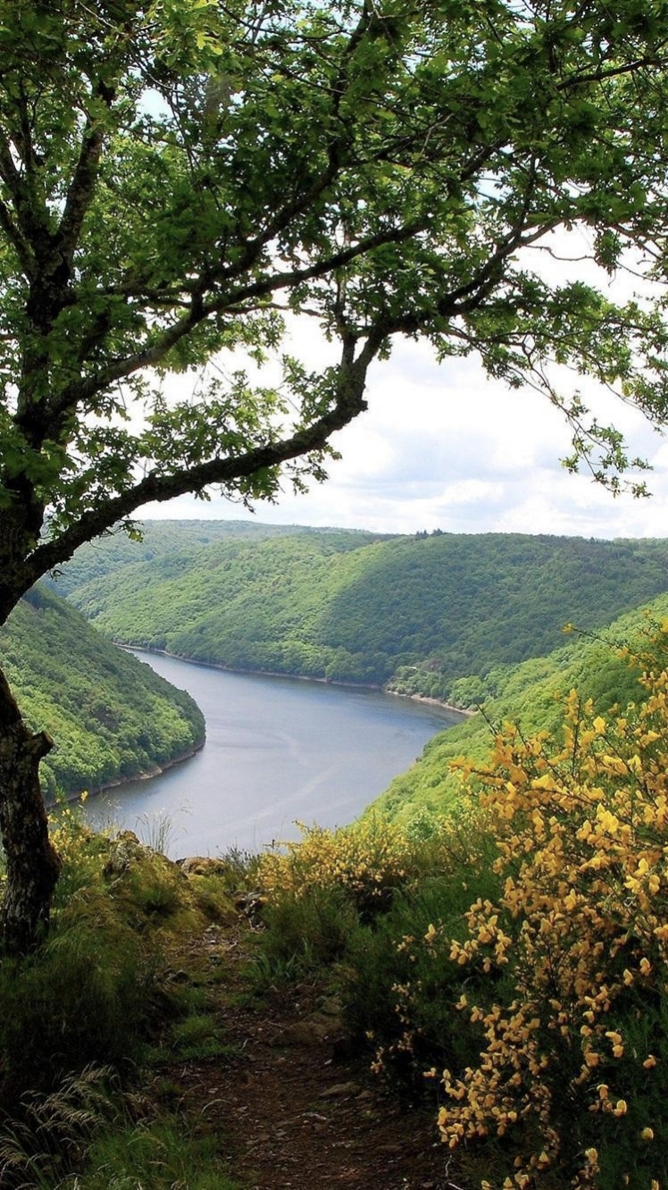 我是一条小河 作者冯至