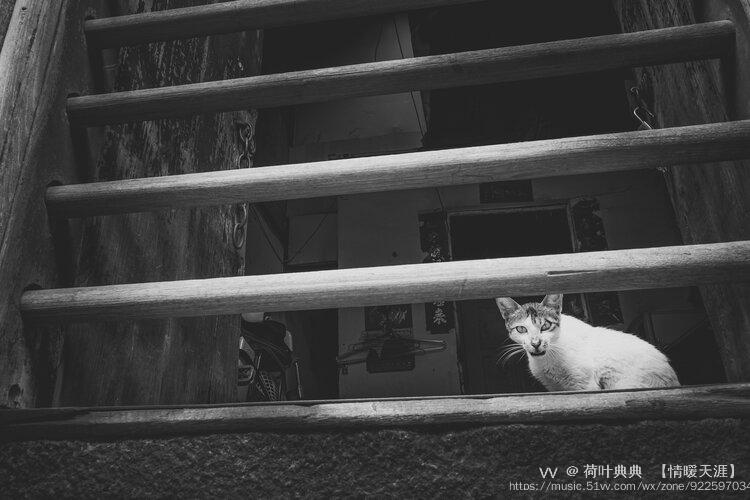 街拍寻找熟悉的陌生感3