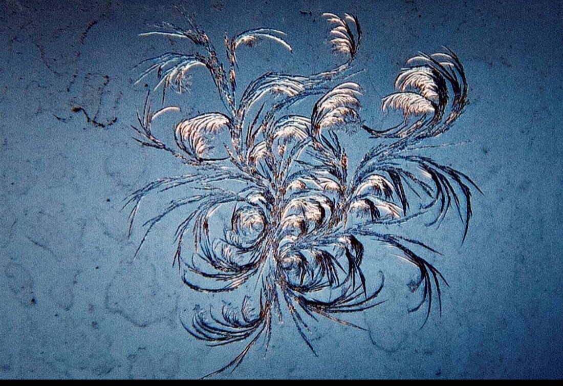 冰窗花伴随着我的童年