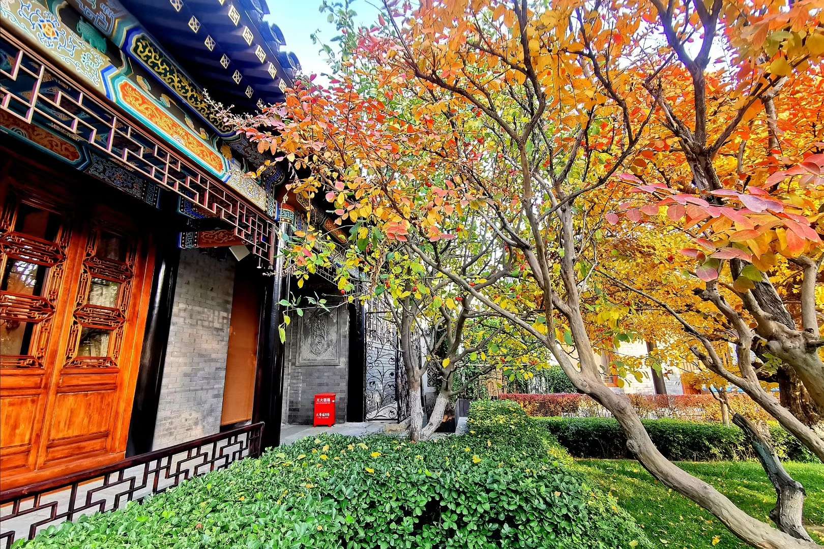 黄肥绿瘦满枝头