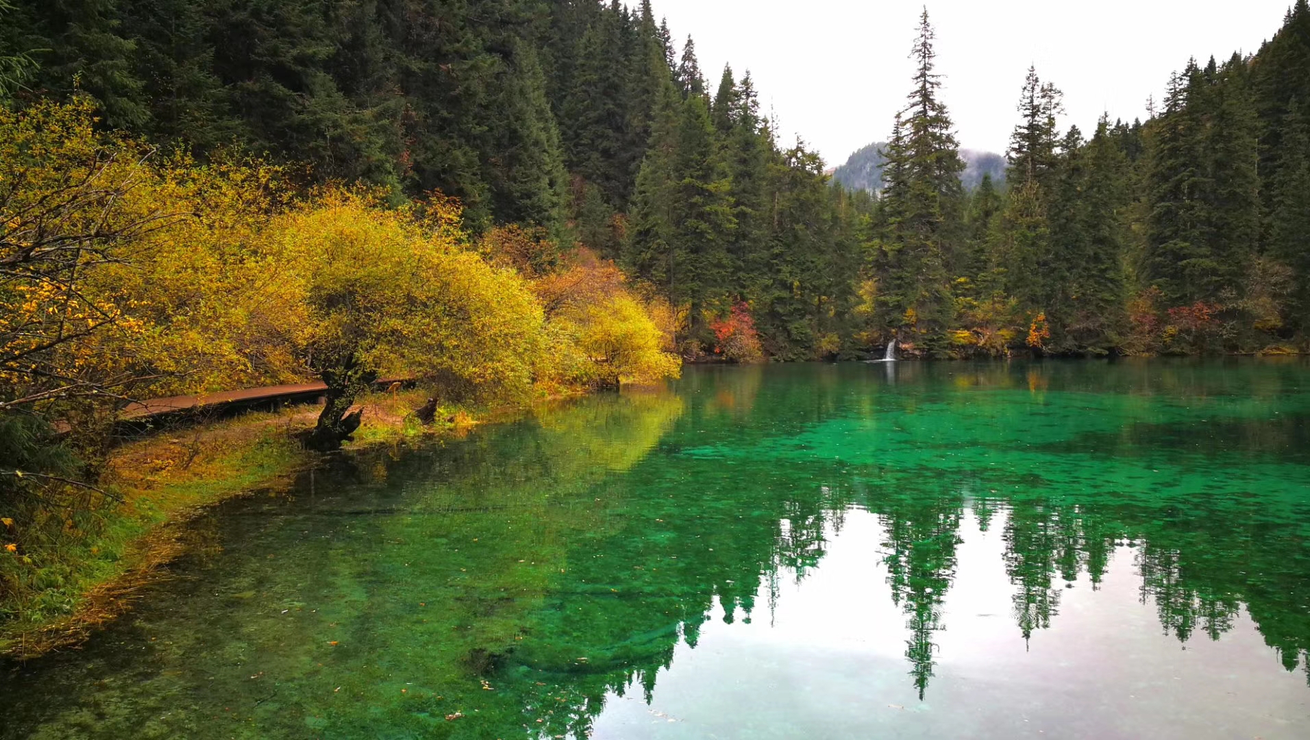 藏族自治州牟尼沟二道海—秋景