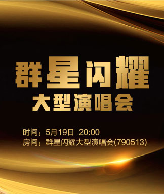 群星闪耀大型演唱会