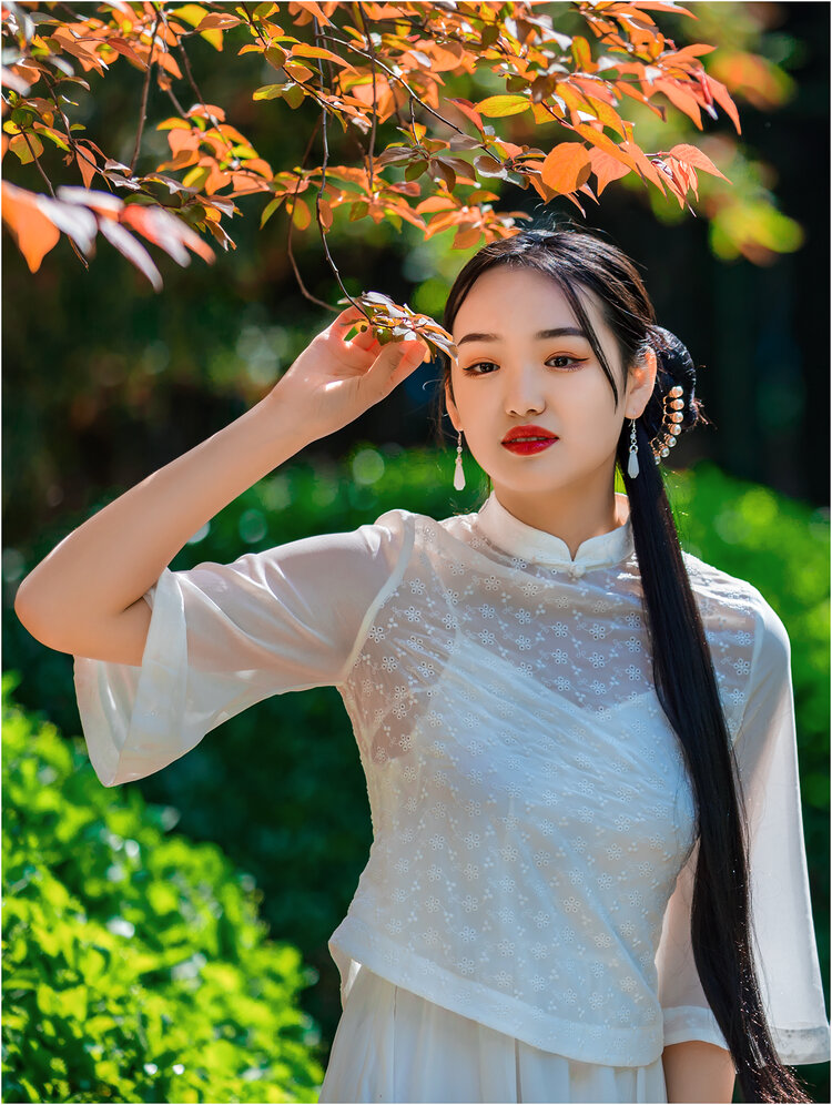淡若清风(lgq)
