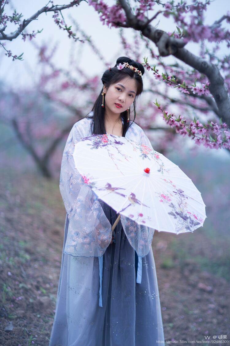 阳春三月春光明媚柳泉村的桃花盛开于枝头