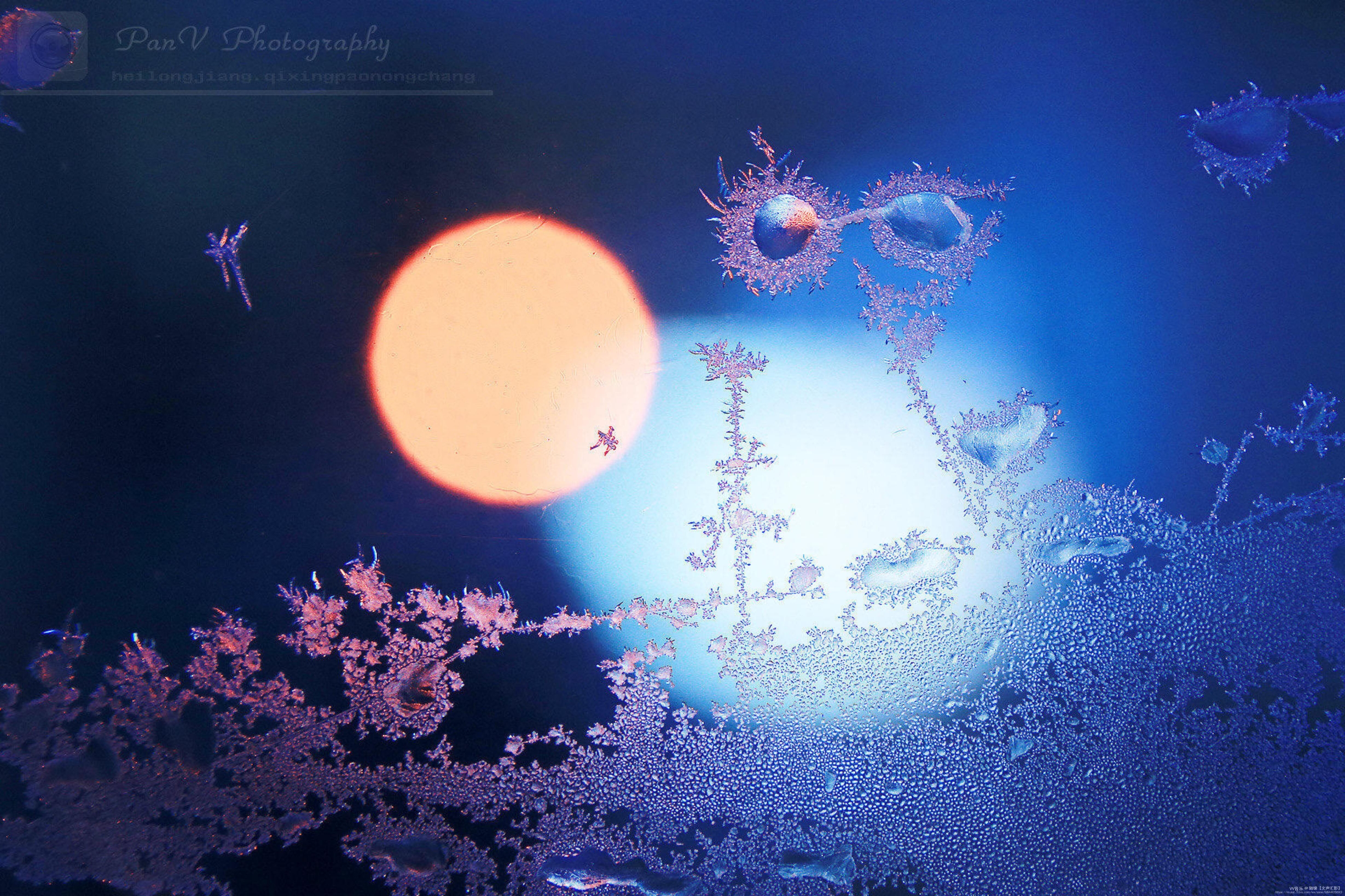 险障 冰窗花  风牵过你的手  雨曾吻过你的泪  星星在夜里带你回过家