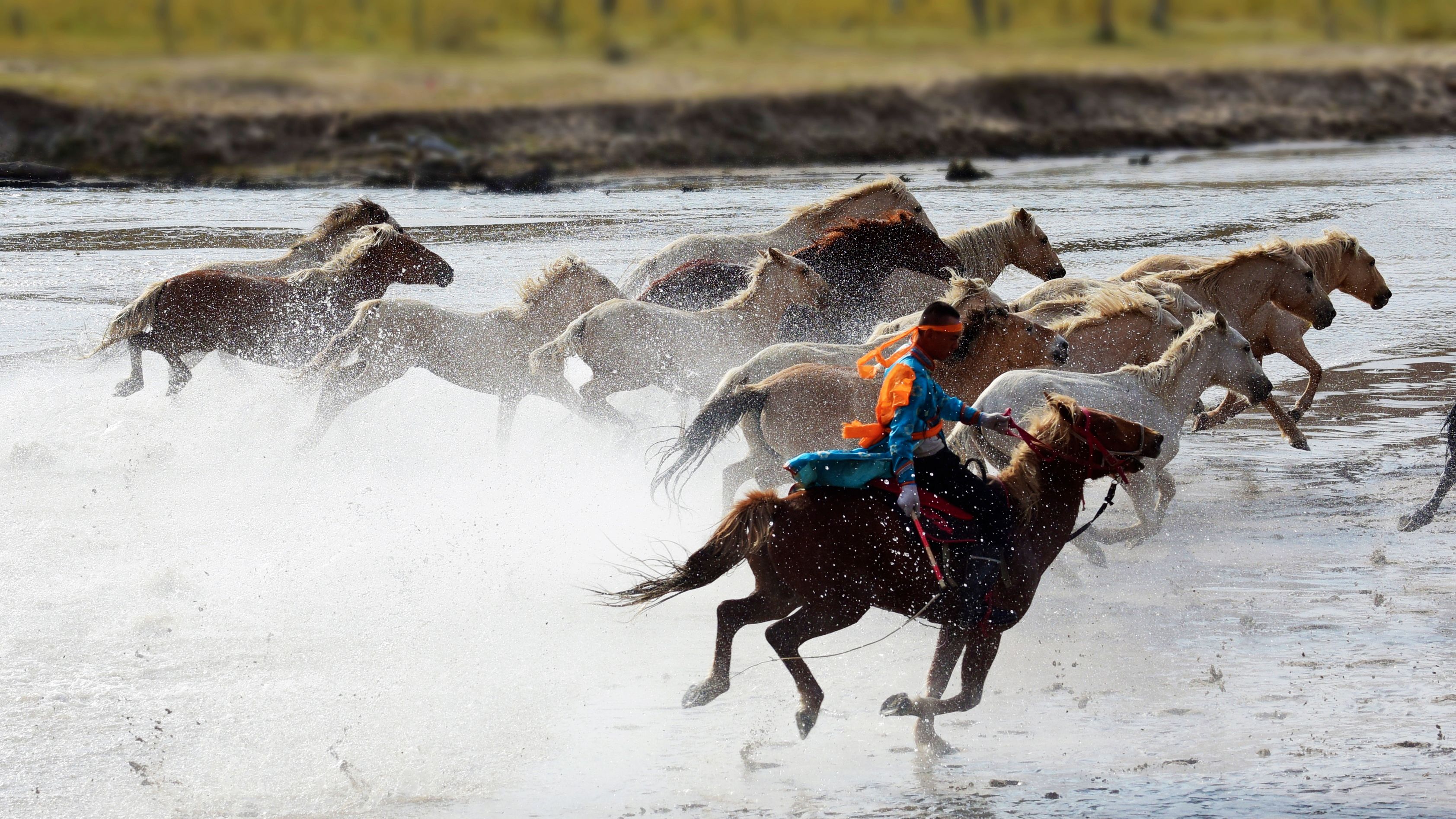 水上奔马 (首发)