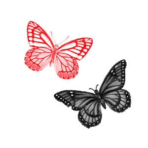 读你61读你首发