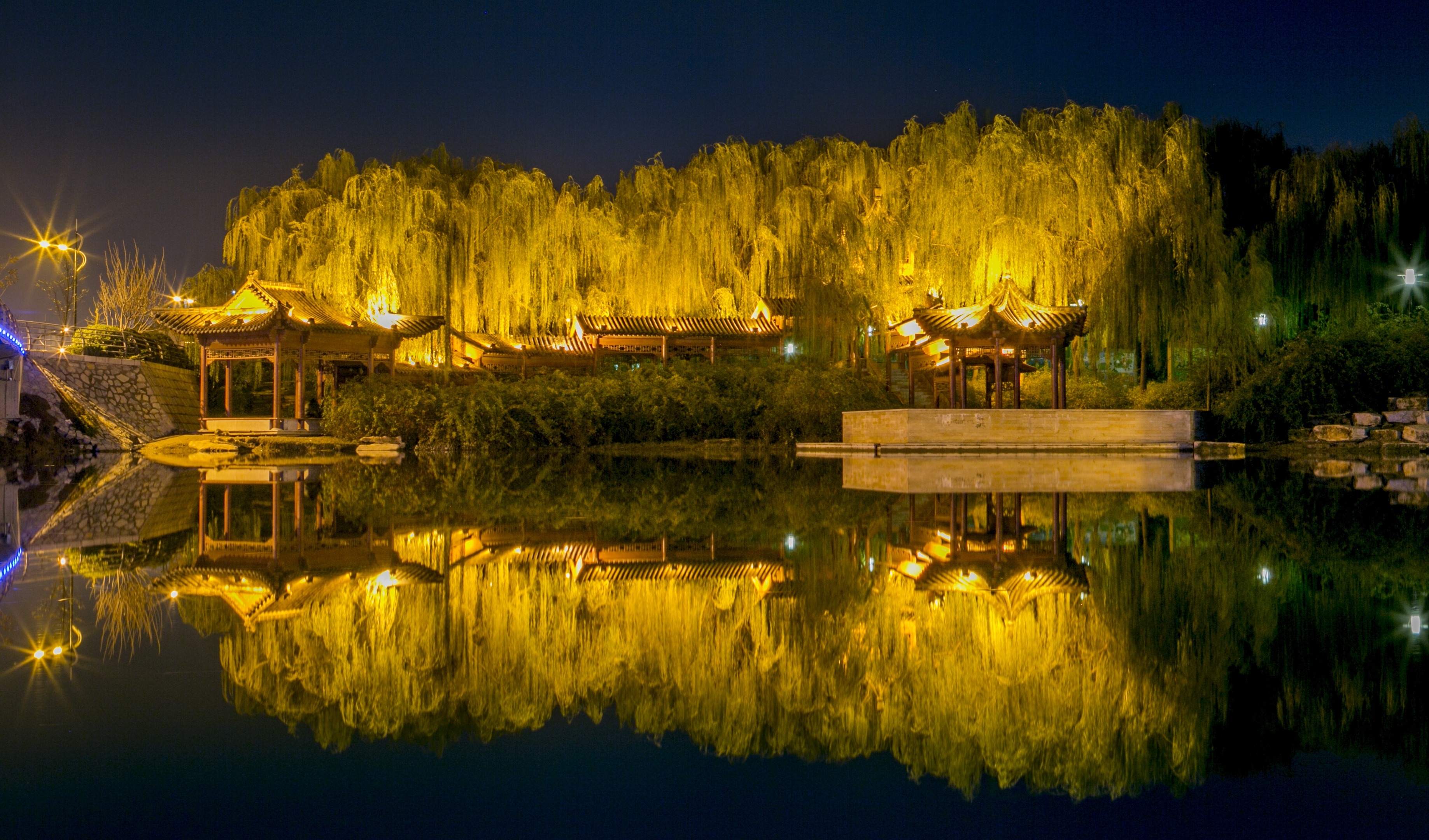 菏泽牡丹区夜景图片