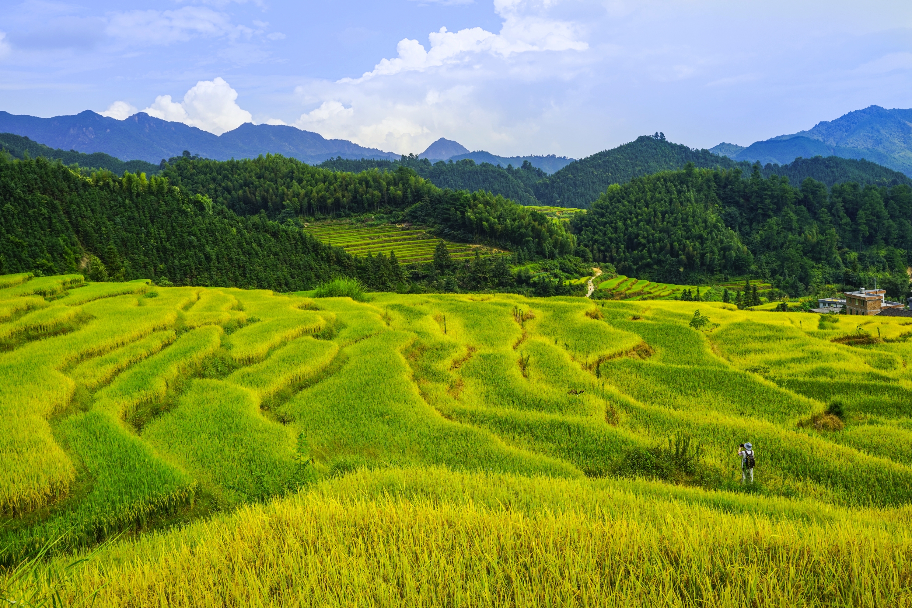 在希望的田野上【摄影首发】