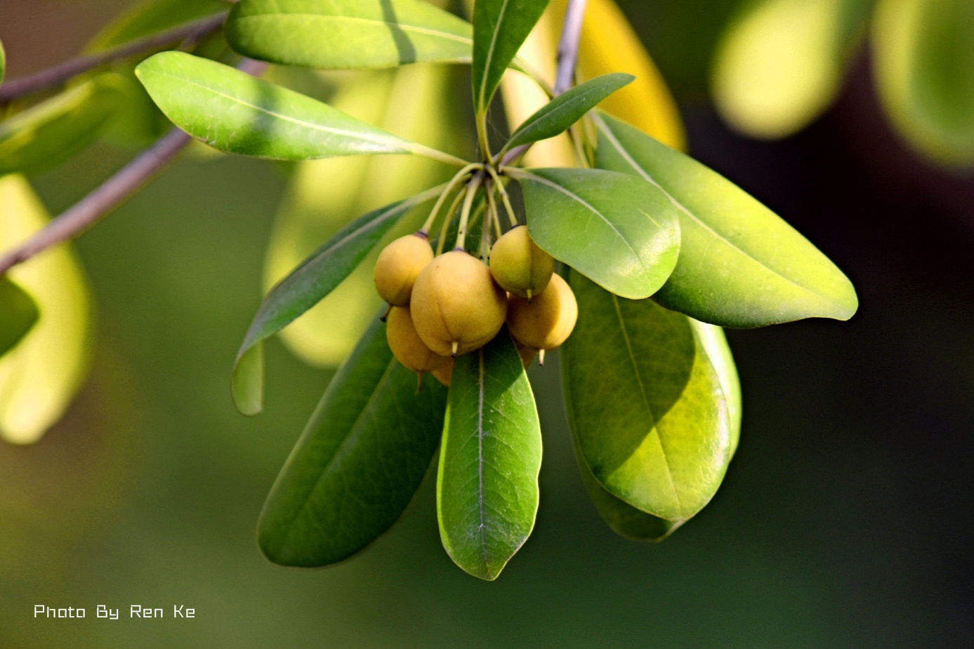 【首发】七里香