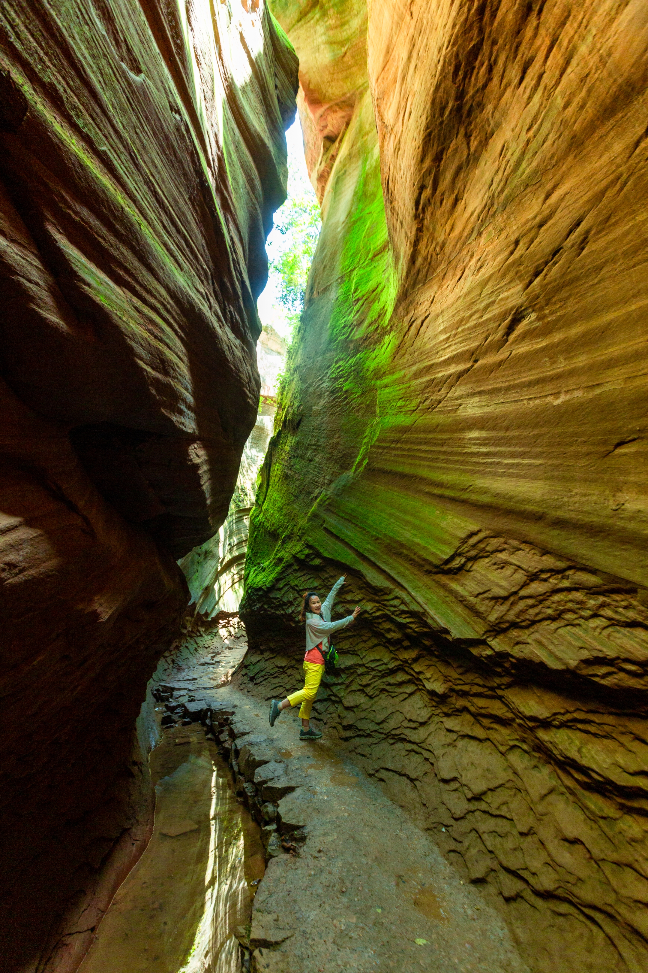 甘泉雨岔大峡谷一一桦树沟