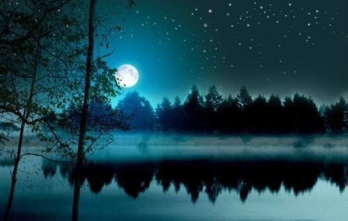 一帘月影映深情