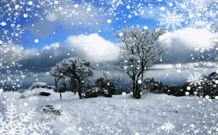 《雪花的快乐》