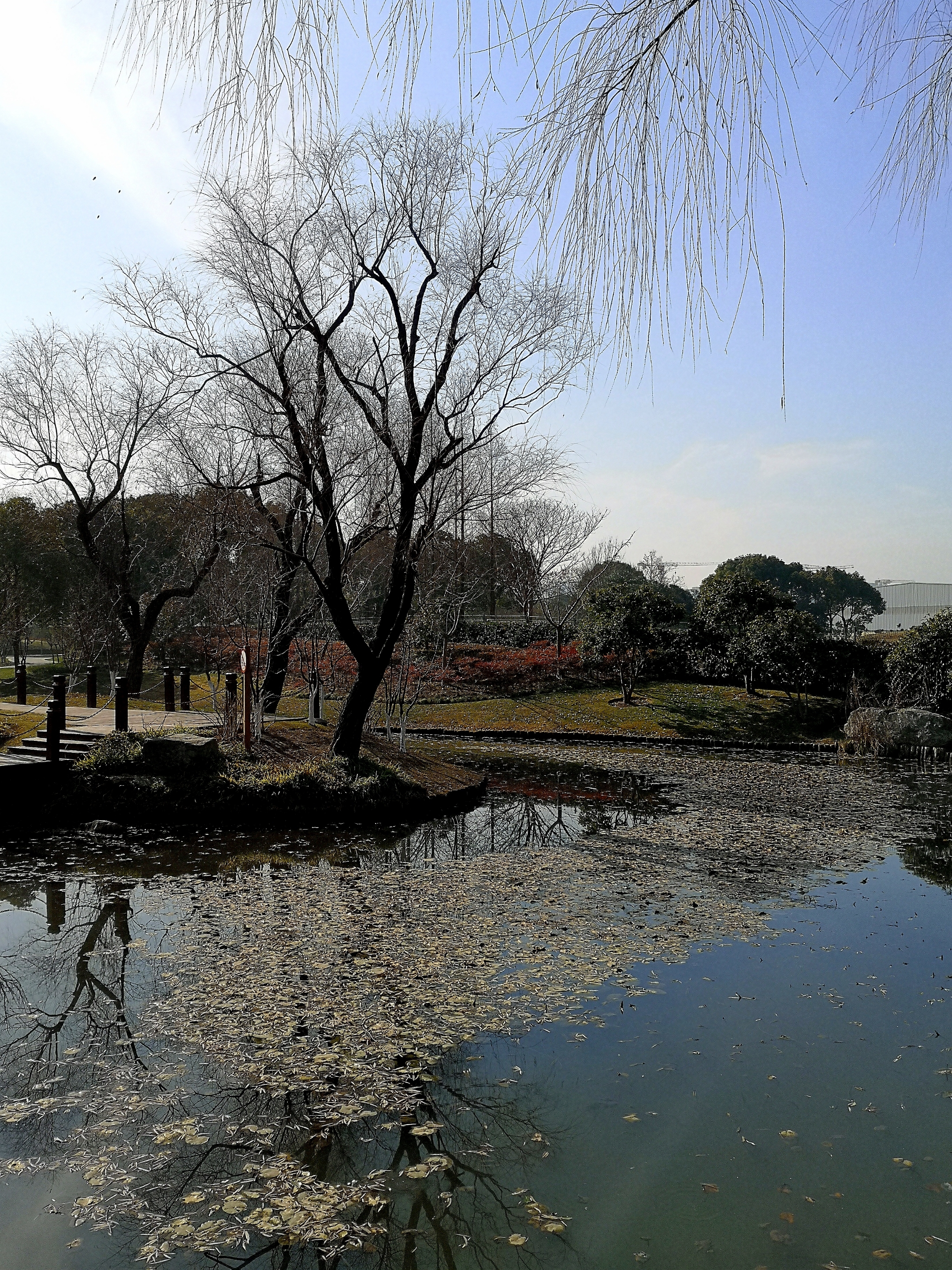 假日期间乘坐地铁8号线来到了位于闵行区浦江镇的陈行公园.