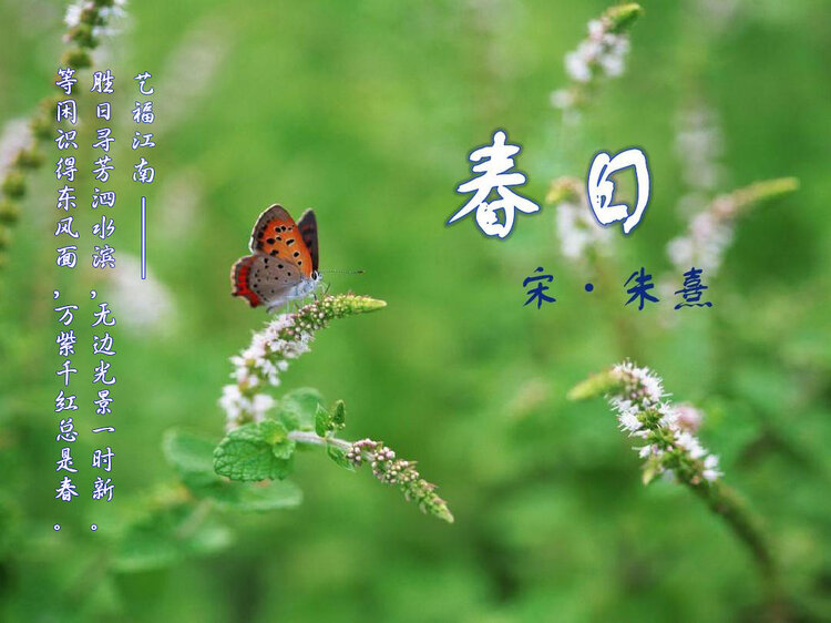 辛丑春日感赋