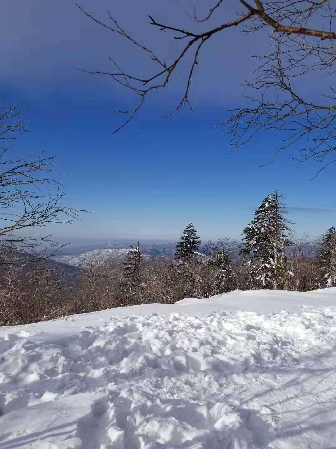 冬雪題詠專集(一)【原創】