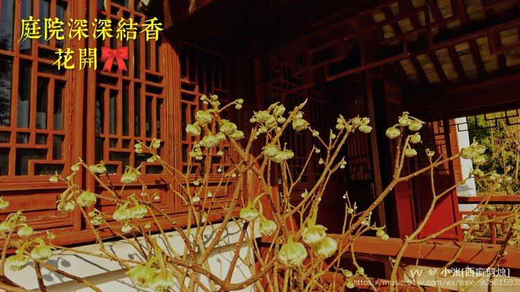 西窗剪烛结香花合辑vv首发