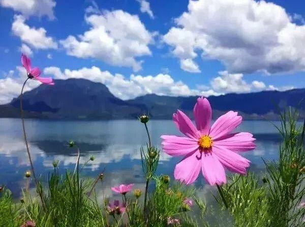 相逢是首歌,分别是明天的路,思念是生命的火.