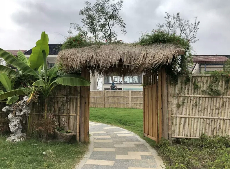 的牵牛花, 美美地含笑看着我, 懒散地走在阡陌上, 或坐在柴门前发呆